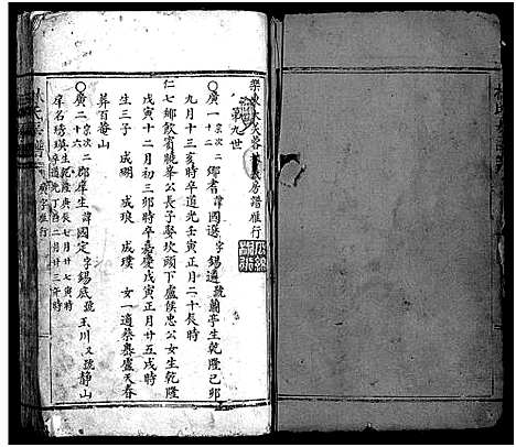 [林]乐东大芙蓉林氏房谱_不分卷 (浙江) 乐东大芙蓉林氏房谱_三.pdf