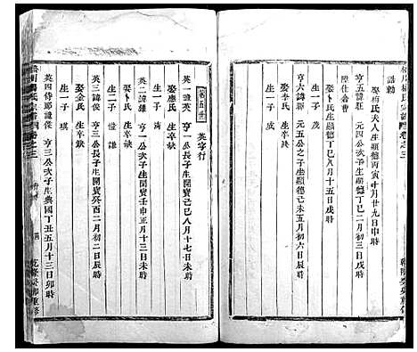 [杨]桥川杨氏宗谱_3卷 (浙江) 桥川杨氏家谱_二.pdf