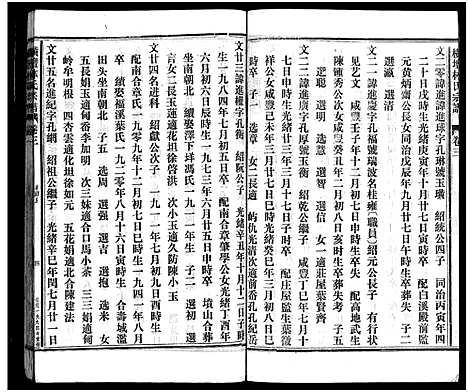 [林]横坛林氏宗谱_3卷_另3卷 (浙江) 横坛林氏家谱_四.pdf