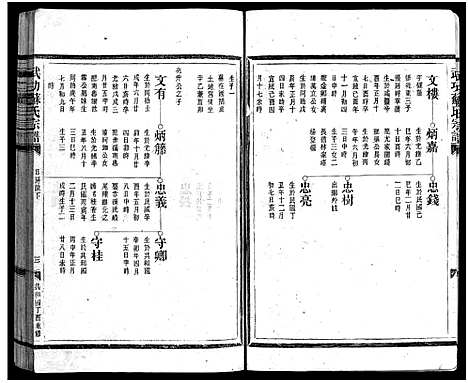 [苏]武功苏氏宗谱_不分卷 (浙江) 武功苏氏家谱_二.pdf