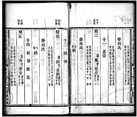 [陈]永康陈氏总祠主谱_12卷 (浙江) 永康陈氏总祠主谱_九.pdf