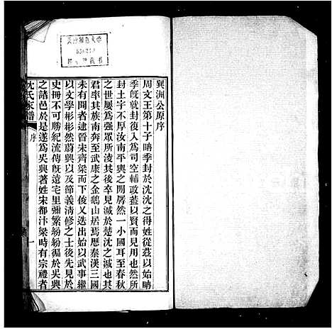 [沈]沈氏谱牒 (浙江) 沈氏谱.pdf