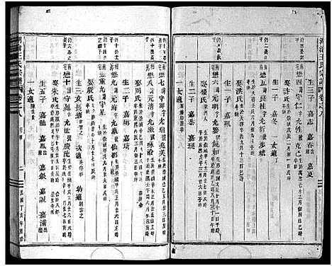 [王]湖沧王氏宗谱_22卷 (浙江) 湖沧王氏家谱_八.pdf