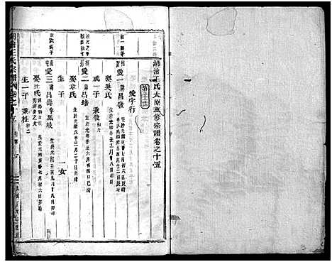 [王]湖沧王氏宗谱_22卷 (浙江) 湖沧王氏家谱_十五.pdf