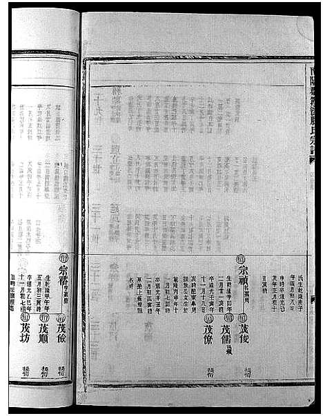 [滕]滕氏宗谱_4卷首末各1卷 (浙江) 滕氏家谱_八.pdf