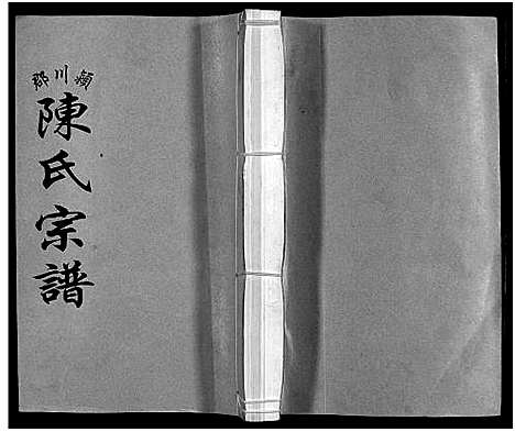 [陈]颍川郡陈氏宗谱_不分卷 (浙江) 颍川郡陈氏家谱.pdf