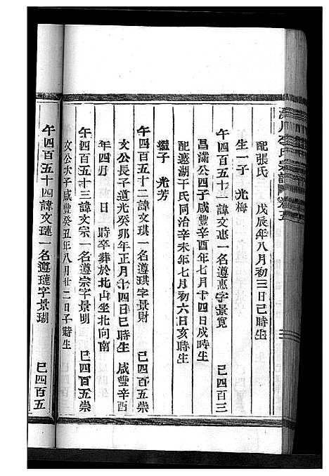 [李]淀川李氏宗谱_8卷首2卷 (浙江) 淀川李氏家谱_九.pdf