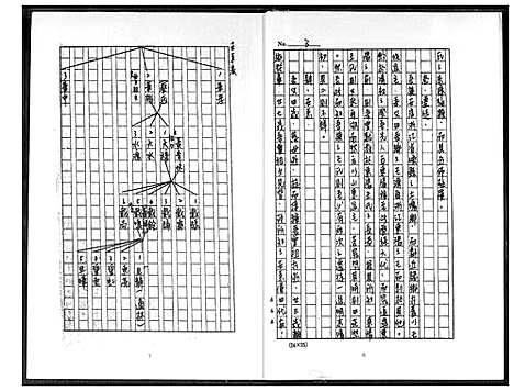 [王]王家谱系 (浙江) 王家谱.pdf