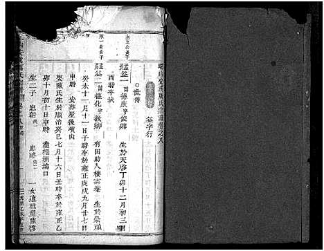 [厉]瑞山安溪厉氏宗谱_16卷_末1卷 (浙江) 瑞山安溪厉氏家谱_十.pdf