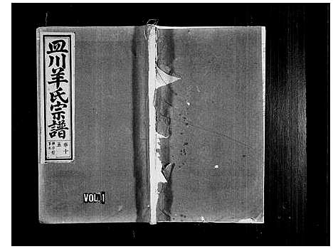 [羊]皿川羊氏宗谱_残卷 (浙江) 皿川羊氏家谱.pdf