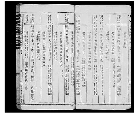 [羊]皿川羊氏宗谱_残卷 (浙江) 皿川羊氏家谱.pdf