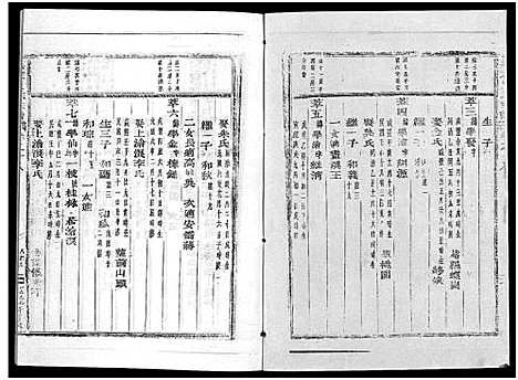 [贾]真定贾氏宗谱_23卷首1卷 (浙江) 真定贾氏家谱_十三.pdf