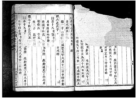 [单]荷塘单氏宗谱_20卷 (浙江) 荷塘单氏家谱_十四.pdf