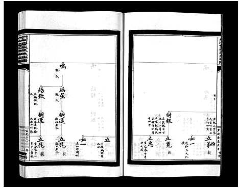 [施]蟾河施氏大族谱_按房分册 (浙江) 蟾河施氏大家谱_八.pdf