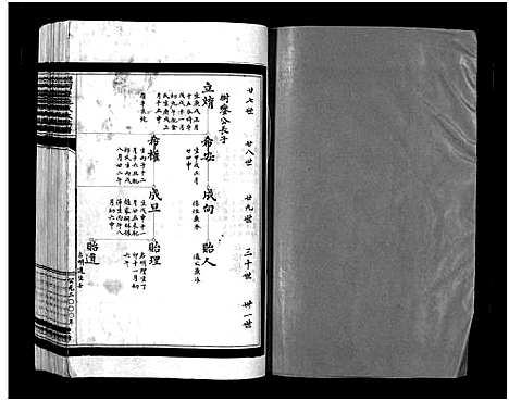 [施]蟾河施氏大族谱_按房分册 (浙江) 蟾河施氏大家谱_十一.pdf