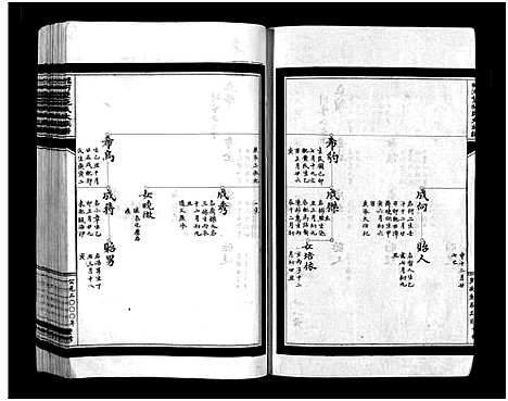 [施]蟾河施氏大族谱_按房分册 (浙江) 蟾河施氏大家谱_十一.pdf